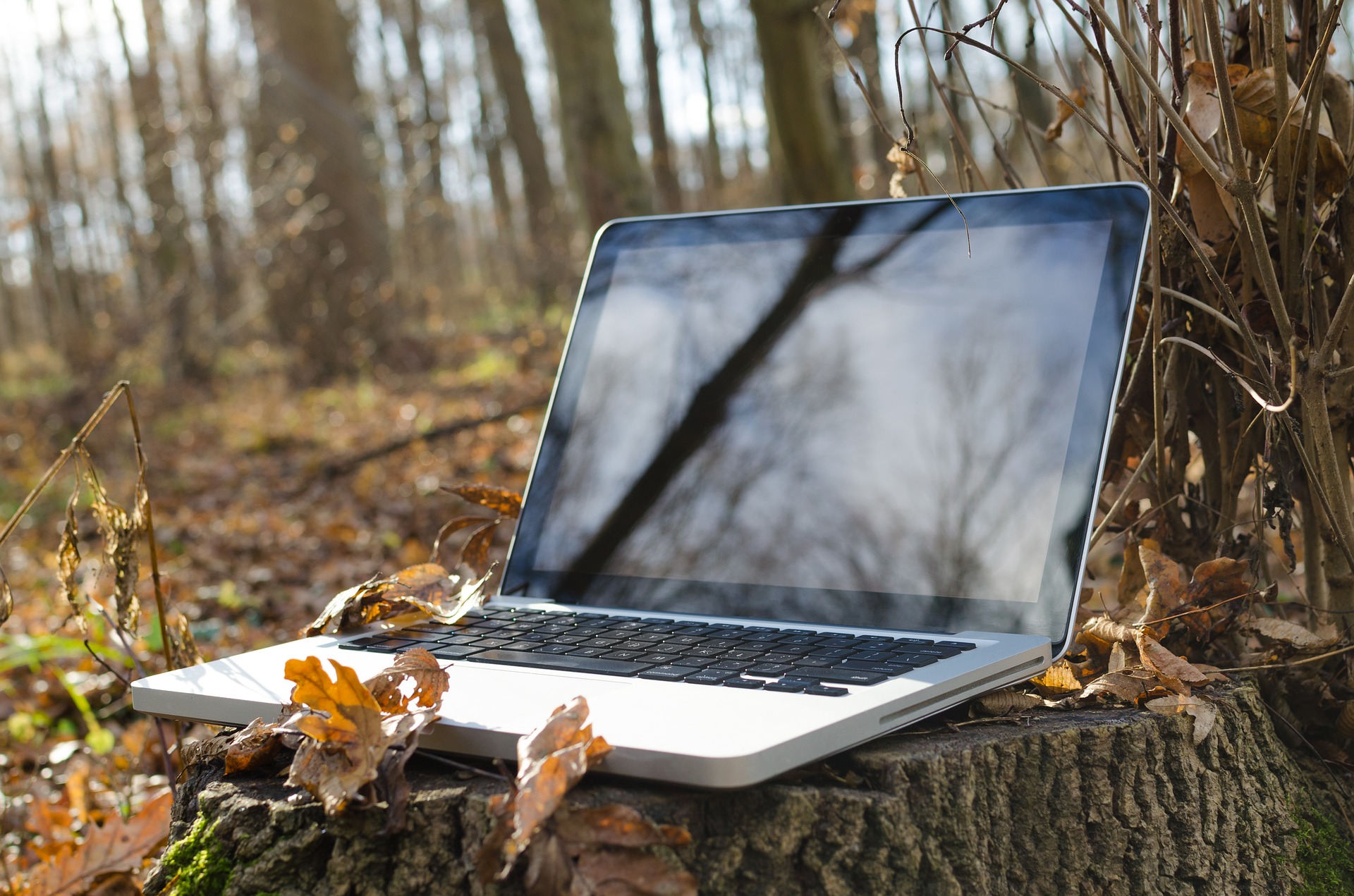 Home 2 Das Home-Office ist nur der Anfang