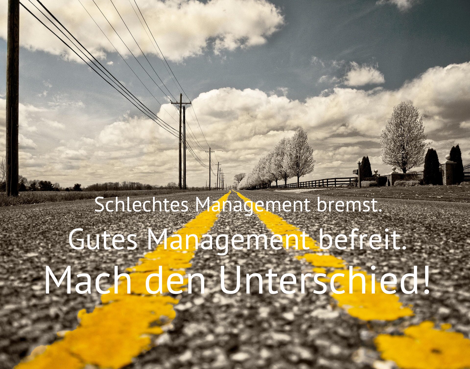 Warum dein Management versagt – und was du dagegen tun kannst